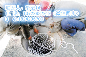 山东天津全国供货防护网/自产自销/国家专利窨井防护网&nbsp;&nbsp;防护网全国供货