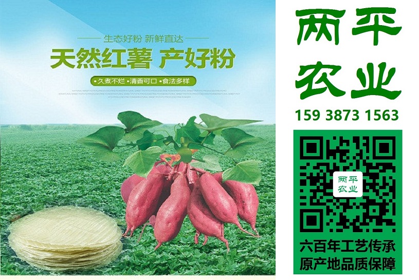 湿红薯粉临高县纯红薯粉条销售地址  红薯粉皮  红薯淀粉