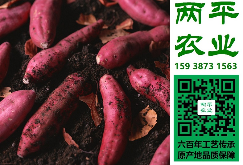 成都纯红薯粉条粗丝细丝|红薯粉条著名品牌【两平】  全手工红薯粉条