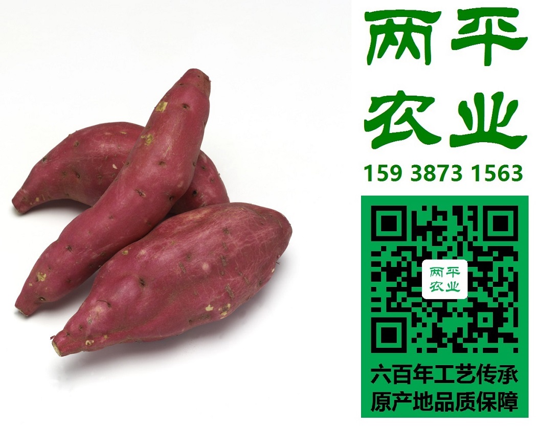 成都纯红薯粉条粗丝细丝|红薯粉条著名品牌【两平】  全手工红薯粉条