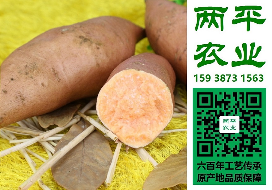 重庆粉条礼盒装定制【两平】红薯粉条  纯红薯粉条  全手工红薯粉条