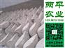 红薯宽粉密云县正宗红薯粉条批发价格