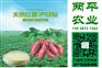 红薯粉丝荔波县纯红薯粉条市场行情