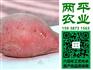 重庆粉条礼盒装定制【两平】红薯粉条