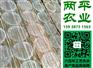 红薯粉丝通州区纯手工红薯粉条定制公司