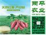 鲜湿麻辣粉麻江县纯红薯粉条代生产公司