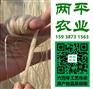 带状红薯粉条海淀区纯手工红薯粉条本土品牌