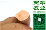 曲沃县纯红薯粉条加工基地红薯扁粉