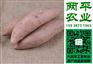 红薯粉线宁河县红薯粉条知名品牌
