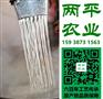 红薯食品丹寨县纯手工红薯粉条供应商