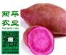 带状红薯粉条大港区纯手工红薯粉条市场行情