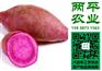 永和县红薯粉条排名列表新鲜红薯粉条