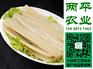 扁红薯粉条平谷区红薯粉条进货价格