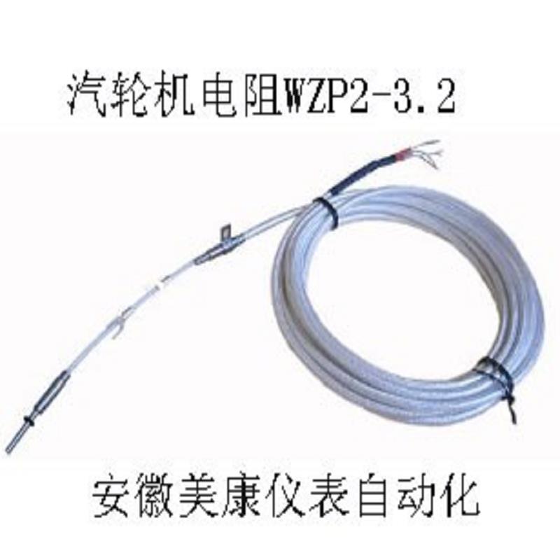 WZP2-3.2汽轮机铂电阻价格 WZP WZP2-6.4