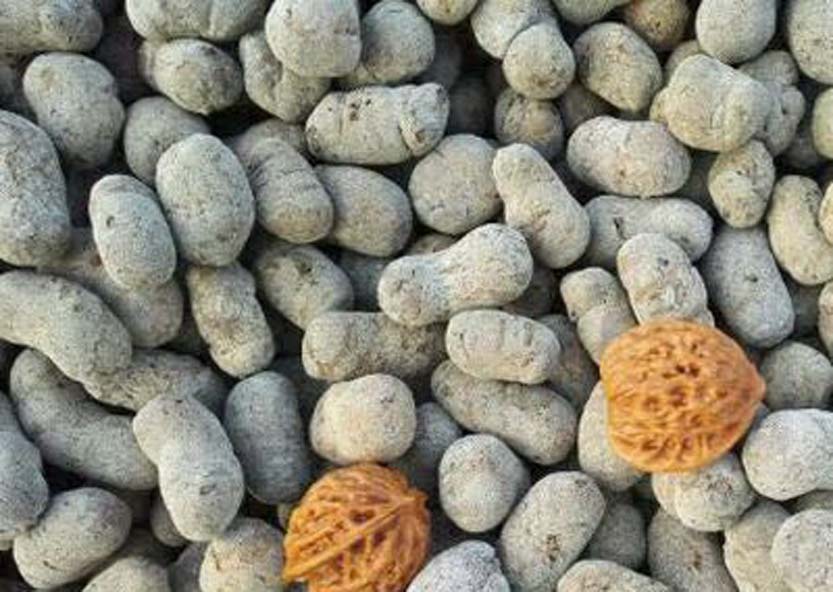 芜湖陶粒，优质芜湖陶粒材料，芜湖陶粒销售  安徽陶粒  建筑陶粒