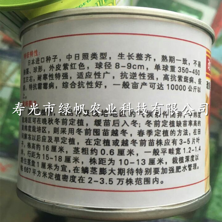 改良红地球 红皮洋葱种子 杂交种  抗病性好 耐寒  圆葱种子