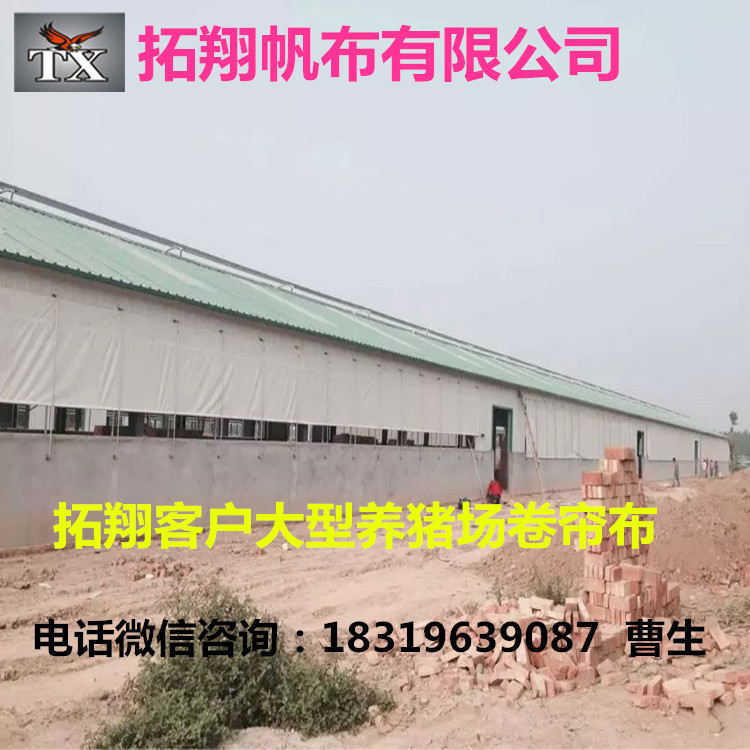 仪陇县篷布厂供应大型养猪场专用透光卷帘布&nbsp;&nbsp;猪场卷帘布&nbsp;&nbsp;猪舍卷帘布&nbsp;&nbsp;猪栏卷帘布