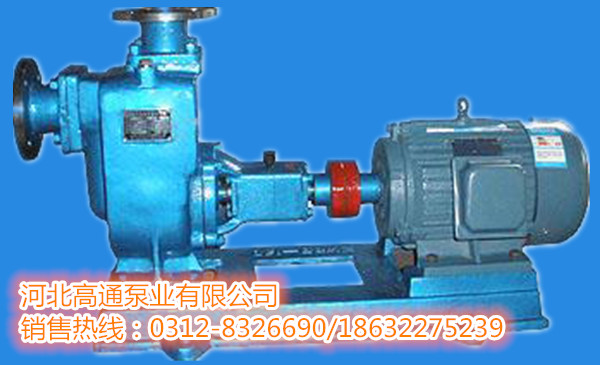 100ZW80-20自吸泵