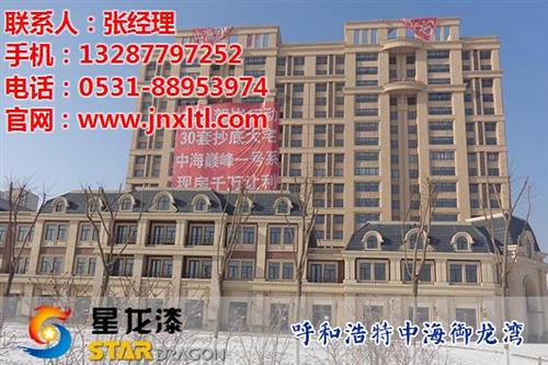 岩片漆多少钱,岩片漆,星龙漆(查看)  岩片漆价格  什么牌子的岩片漆