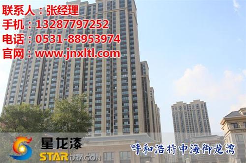 岩片漆、星龙漆、山东岩片漆生产厂家  岩片漆市场价格  岩片漆多少钱一吨