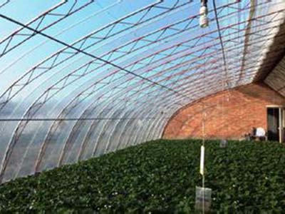 供应兰州好的地膜_呼和浩特地膜 农用地膜 兰州地膜