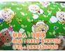 淋膜无纺布|雄县华兴胶印|山东淋膜无纺布