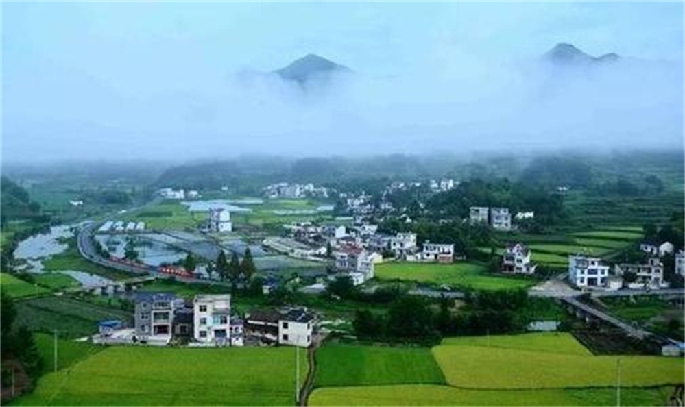 亚东县立项批地资金申请报告哪家好