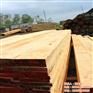 友联木业、辐射松、台州辐射松方木厂家