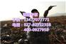 商品菜藕,武汉藕御农业发展有限公司,商品