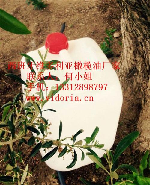深圳橄榄油厂家_橄榄油厂家_维多利亚(多&nbsp;&nbsp;广州橄榄油厂家&nbsp;&nbsp;湖南橄榄油厂家