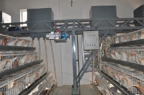 金兴新型蛋鸡肉鸡用龙门式上料机