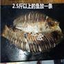 合肥烤鱼专用电烤鱼箱烤鱼炉哪有卖的-玖子