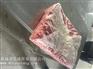 混冻成板猪脑生产商|物超所值的混冻成板猪