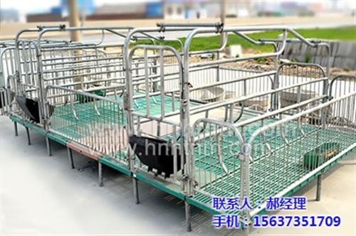 母猪产床报价_母猪产床_恒泰农牧设备(多  母猪产床生产厂家  母猪产床供应商