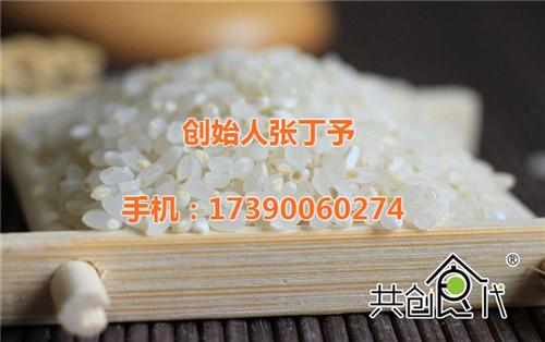 活米共创食代种子米|种子米|共创食代营养 放心大米共创食代 留胚米共创食代种
