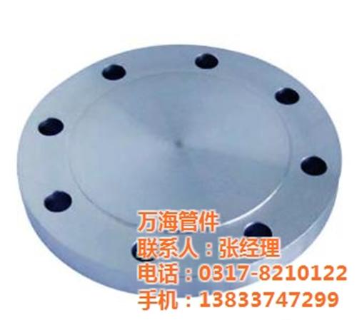 盲板_万海盲板_锻造盲板型号价格  河北盲板材质型号  DN600.10  盐山白钢盲板规格