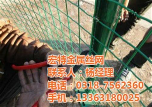 荷兰网|优质荷兰网|荷兰网供应商&nbsp;&nbsp;荷兰网厂家&nbsp;&nbsp;荷兰网批发&nbsp;&nbsp;荷兰网现货