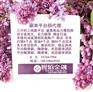 盛德商品返佣条件_盛德商品返佣条件