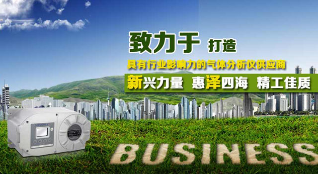 便携式CO、O2气体分析仪&nbsp;&nbsp;便携式氧分析仪&nbsp;&nbsp;手持氧分析仪&nbsp;&nbsp;便携O2分析仪