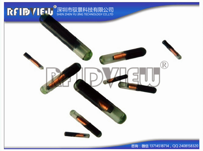 驭景科技OEM鱼类流放标记  动物芯片