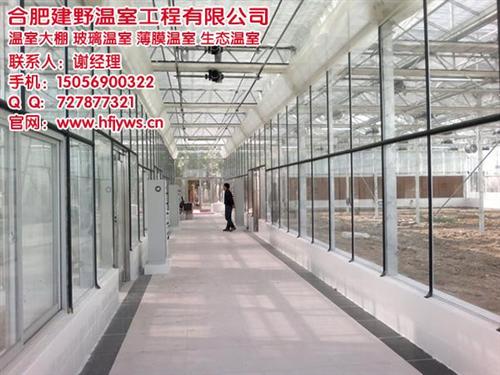 铜陵温室大棚,合肥建野温室大棚厂家,新型  温室大棚造价  温室大棚公司  新型温室大棚