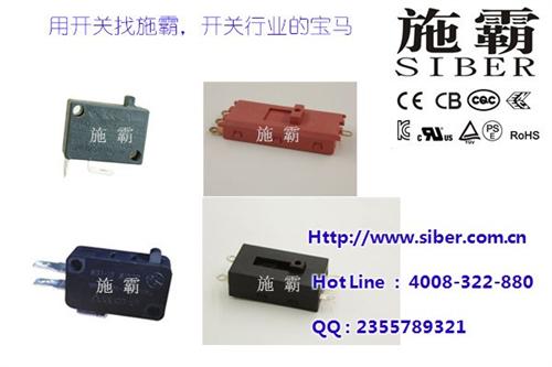 供应最优质电吹风翘板开关,中山电吹风翘板  施霸长期生产电吹  热销大功率电吹风  批发现货电吹风翘