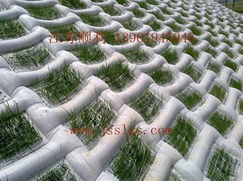 铰链型模袋护坡工程_漳州铰链型模袋_江苏&nbsp;&nbsp;铰链型模袋工程&nbsp;&nbsp;铰链型模袋混凝土&nbsp;&nbsp;铰链型模袋施工