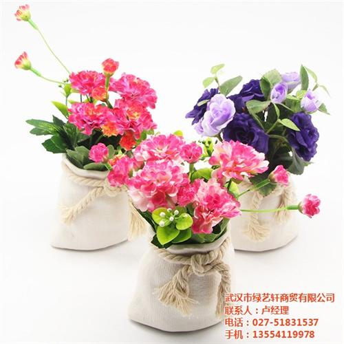 花卉盆栽植物租赁_沧州市花卉盆栽_绿艺轩  花卉盆栽租赁  花卉盆栽养护