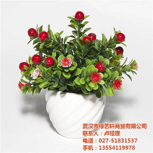 办公室花卉绿植租赁,阳泉市办公室花卉,绿  办公室花卉租赁  办公室花卉租摆价