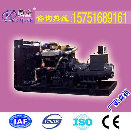 厂家直销上海申动400KW柴油发电机组.全铜电机&nbsp;&nbsp;400KW发电机组&nbsp;&nbsp;上海申动发电机组&nbsp;&nbsp;发电机组厂家