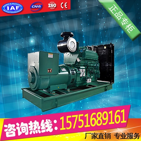 果洛发电机厂家供应120KW康明斯发电机组.品质保证&nbsp;&nbsp;120KW发电机组&nbsp;&nbsp;发电机组厂家