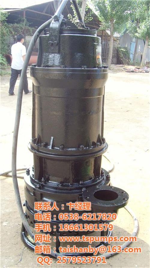 大型泥浆泵_三明市泥浆泵_泰山泵业(查看  耐磨泥浆泵  EPN泥浆泵