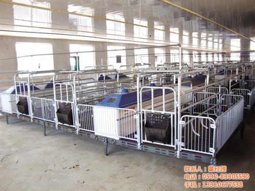 养猪设备,养猪设备,青驰源(图)  东北养猪设备  青岛养猪设备
