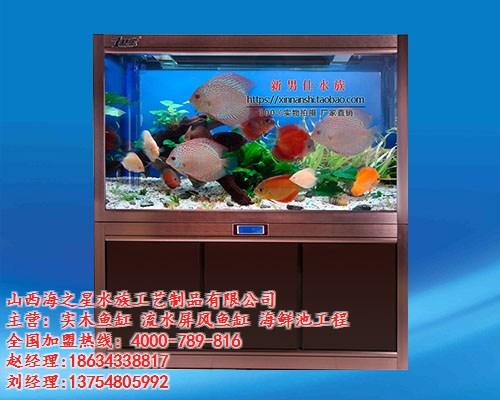 铝合金鱼缸、海之星水族公司、铝合金鱼缸批  铝合金鱼缸底柜  铝合金鱼缸批发  铝合金鱼缸定制